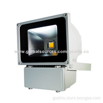 100W LED Floodlight